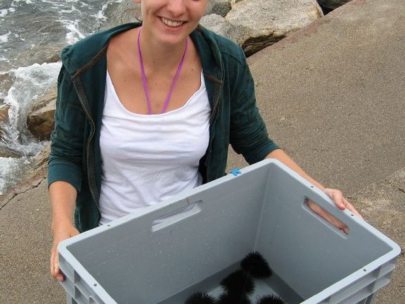 a student is holding a box with catched seaurchins