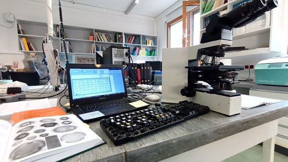 Mikroskopische Auswertung