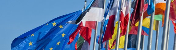 Demonstranten halten Schilder auf einer überfüllten Klimaprotestkundgebung