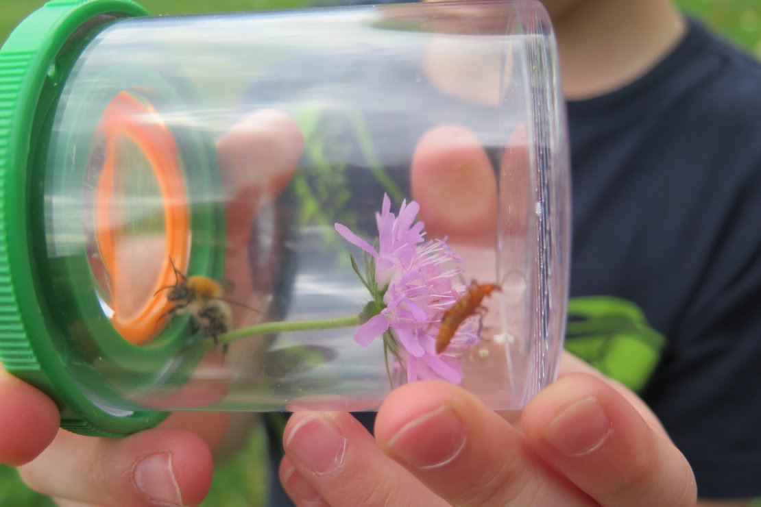 Kinder erforschen die Natur