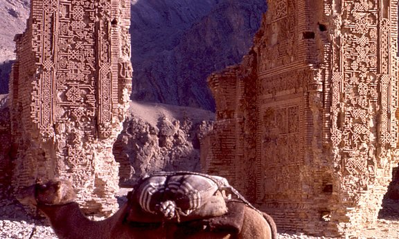bepacktes Dromedar vor einer Ruine (Spitzbogeneingang erhalten) in der Wüste