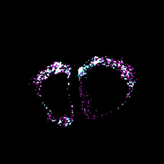 STED Image PC12 cell