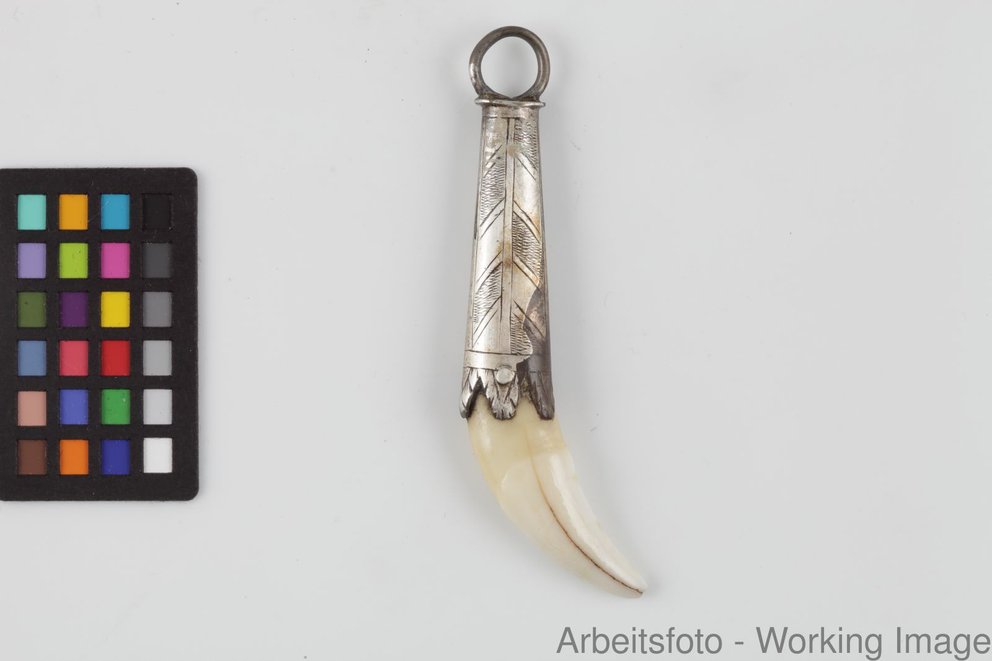 Wolfszahn Germanisches Nationalmuseum