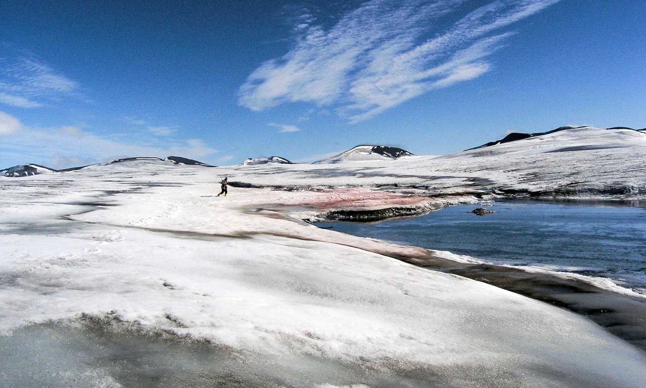 rotes-schneefeld_doktorbreen__thomasleya_web.jpg