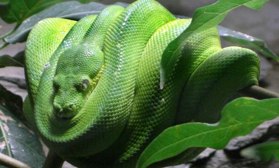 Titelbild UE Digital Humanities: Grundlagen der Programmierung