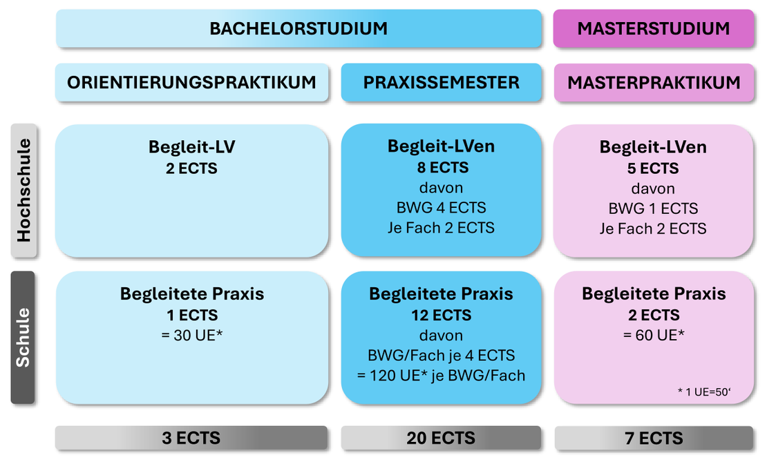Praktika im Studienverlauf