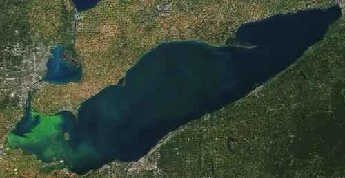 Lake Erie Bloom in Michigan, Ohio (24-Sept-2017) formed by Microcystis aeruginosa and Planktothrix agardhii. NASA Earth observatory