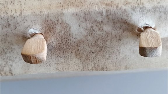Detail Holzstifte