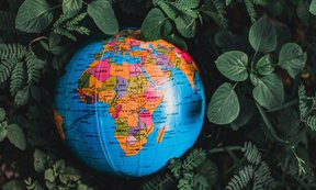 Ein Globus mit Afrika auf der sichtbaren Seite liegt in Blätter eingebettet auf dem Boden.