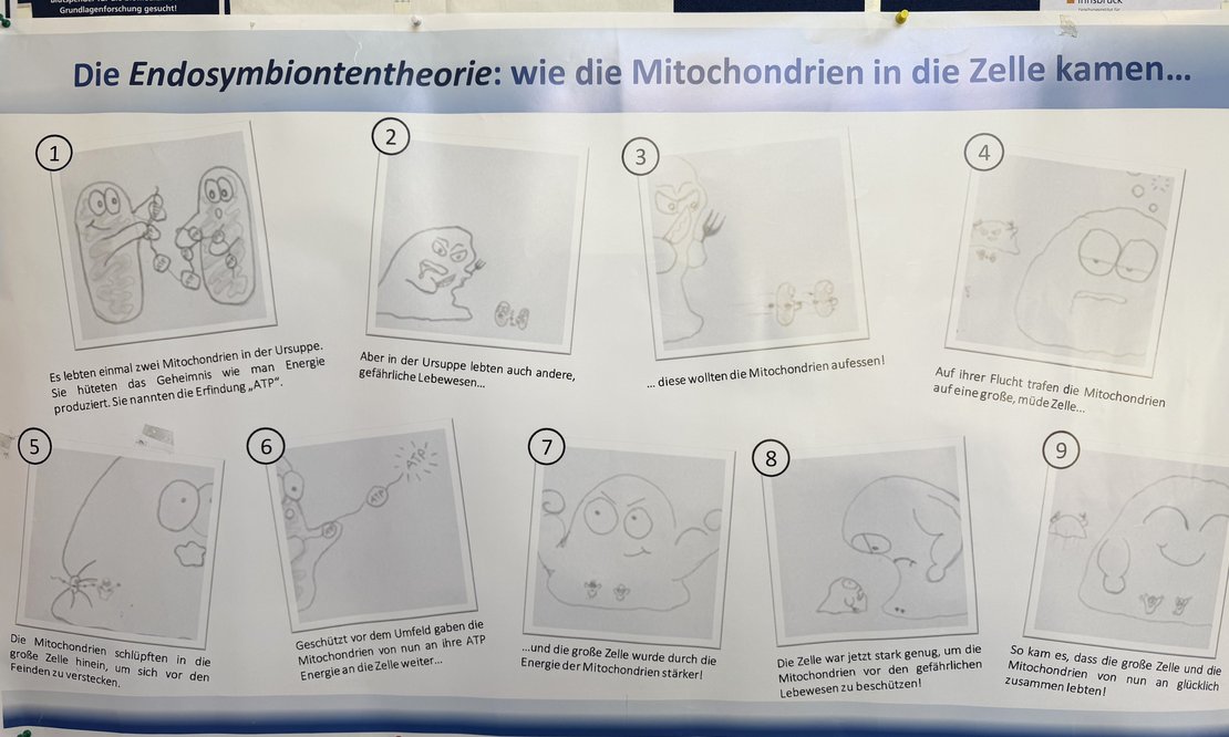 Lange Nacht der Forschung am IBA