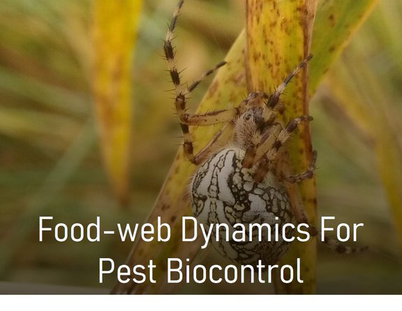 Project_Food_web_biocontrol