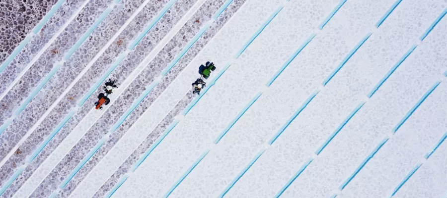 salt-harvest-felix-dorn_935x561px