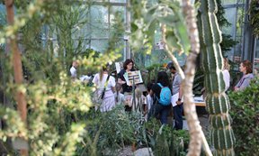 Menschen stehen im Grünen