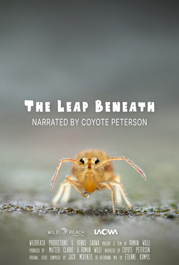 The Leap Beneath: Filmplakat