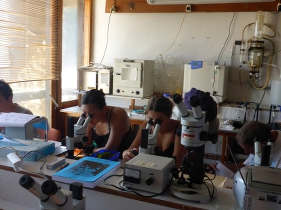 students on their microscopes