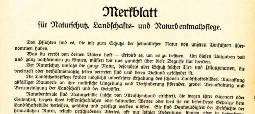 Text auf gelbem Hintergrund