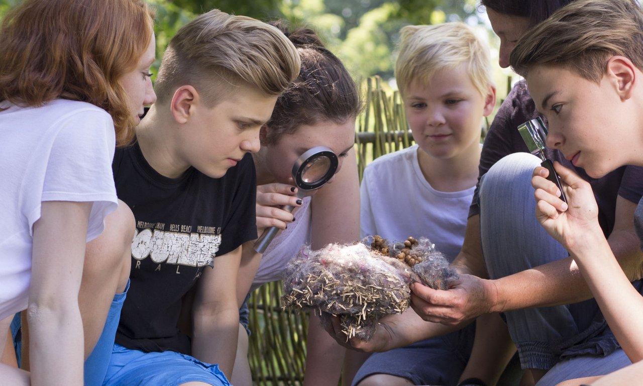 Kinder bei der Grünen Schule im Botanischen Garten