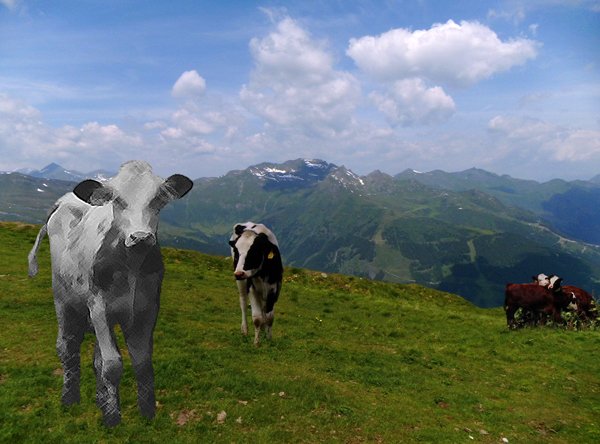 Berglandschaft mit Kühen