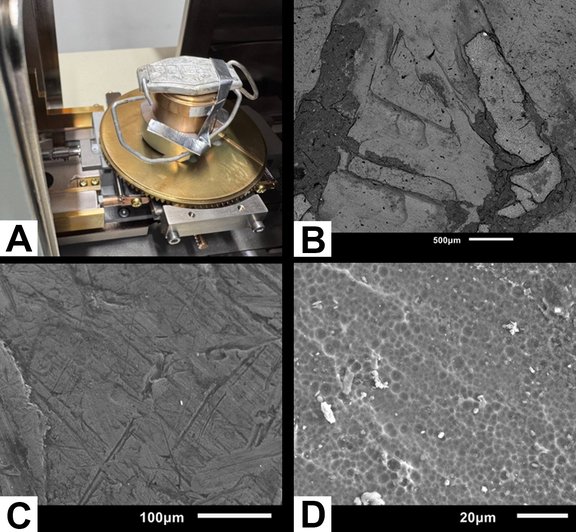 Scanning Electron Microscope
