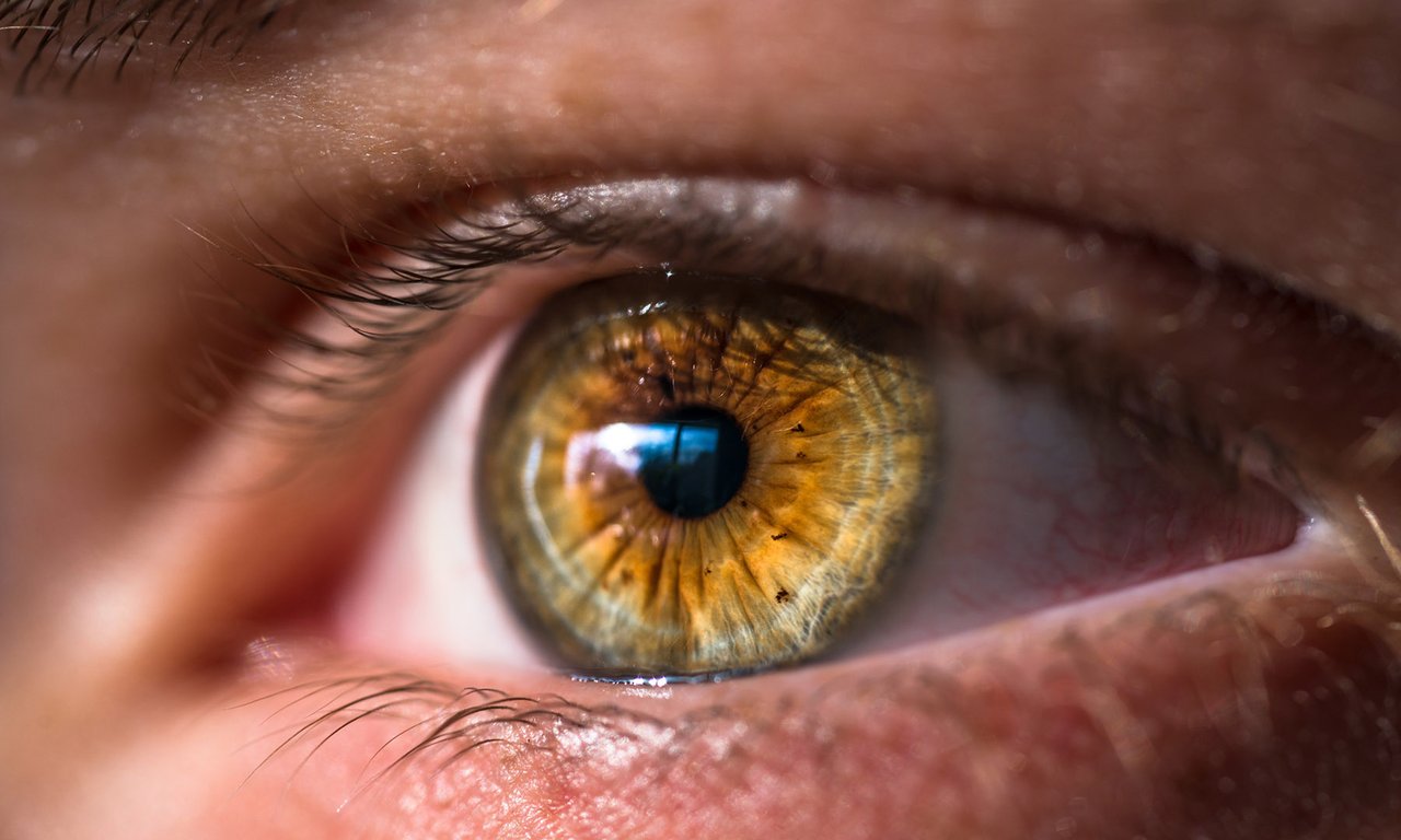 Auge SwitchBoard