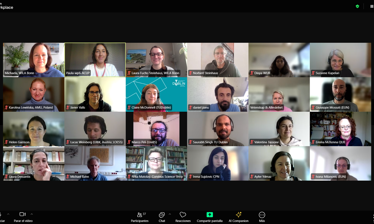 Ausschnitt aus dem Online-Meeting des LOESS Projekts