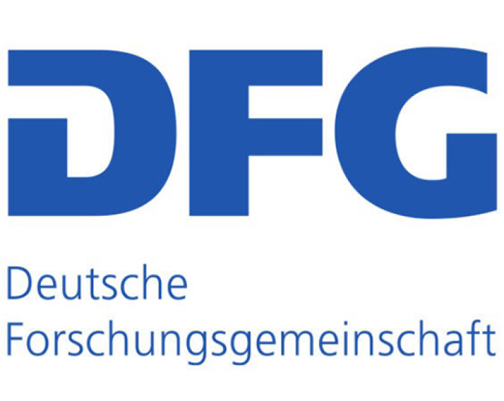 Logo DFG