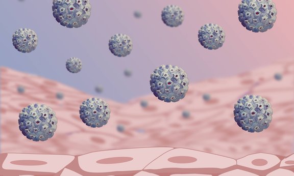 Illustration von HP-Viren, die auf eine Reihe aus Zellen herabsinken