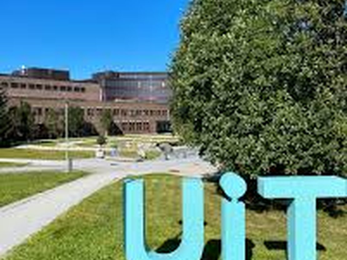 The Arctic University of Norway (UiT)