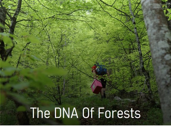 Project_forest_DNA