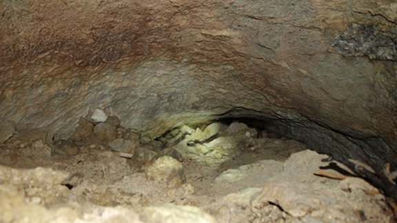 in der Nähe der Enzianhütte