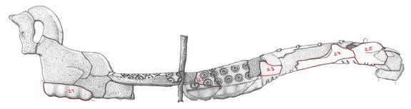 Seitenansicht 1, Fragmente, Handzeichnung