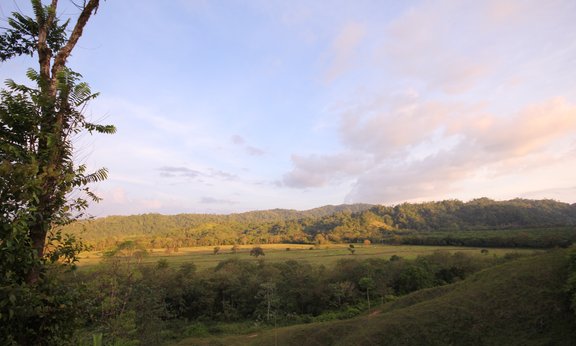 Landschaft in La Gamba, Costa Rica