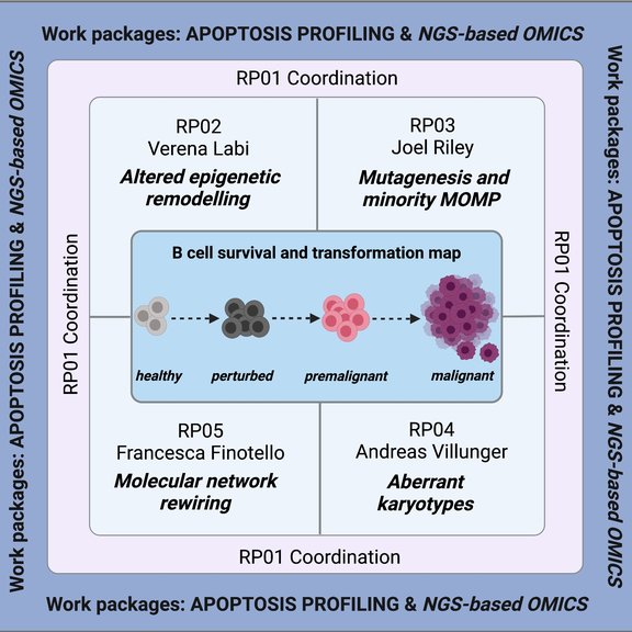 The BEAT IT consortium will collaborate to understand the molecular mechanisms securing the survival of early B cell progenitors that experience epigenetic, karyotypic or genetic abberations.