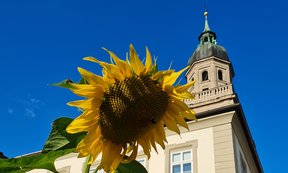 aus-der-fakultaet1_1800x1080