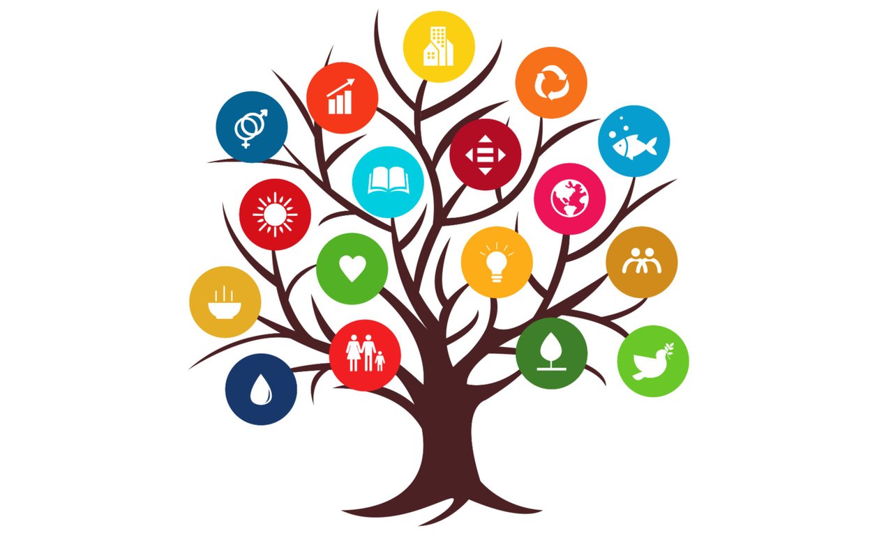 UN sustainability goals