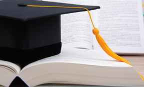 Schaubild Dissertation