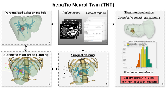 schema that describes TNT processes