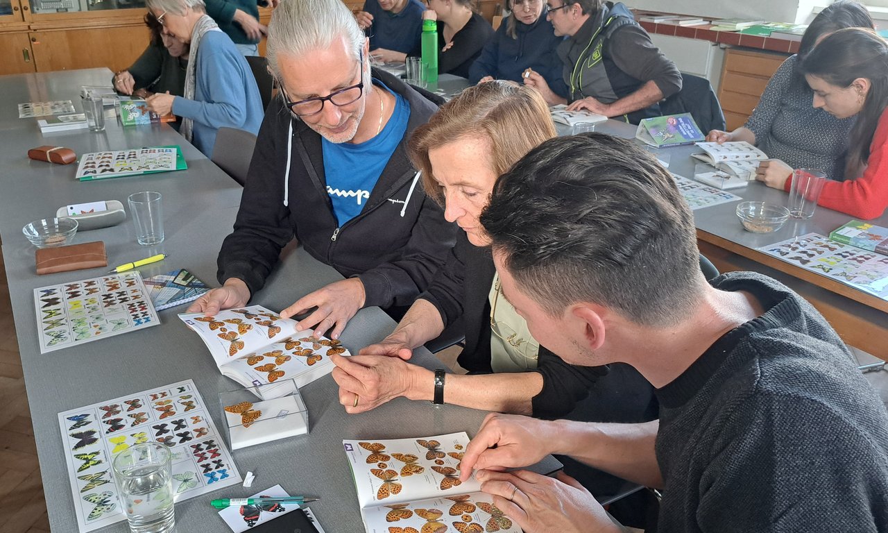 Das Bild zeigt eine Kurssituation in einem Seminarraum. Im Vordergrund unterhalten sich drei Personen, ihr Blick ist dabei auf aufgeschlagene Bestimmungsbücher gerichtet.
