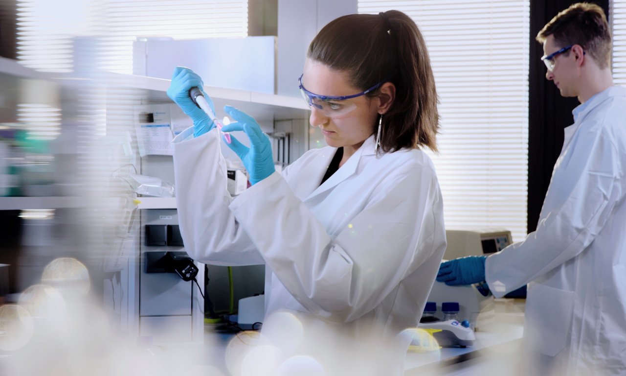 Wissenschaftlerinnen auf der Karriereleiter