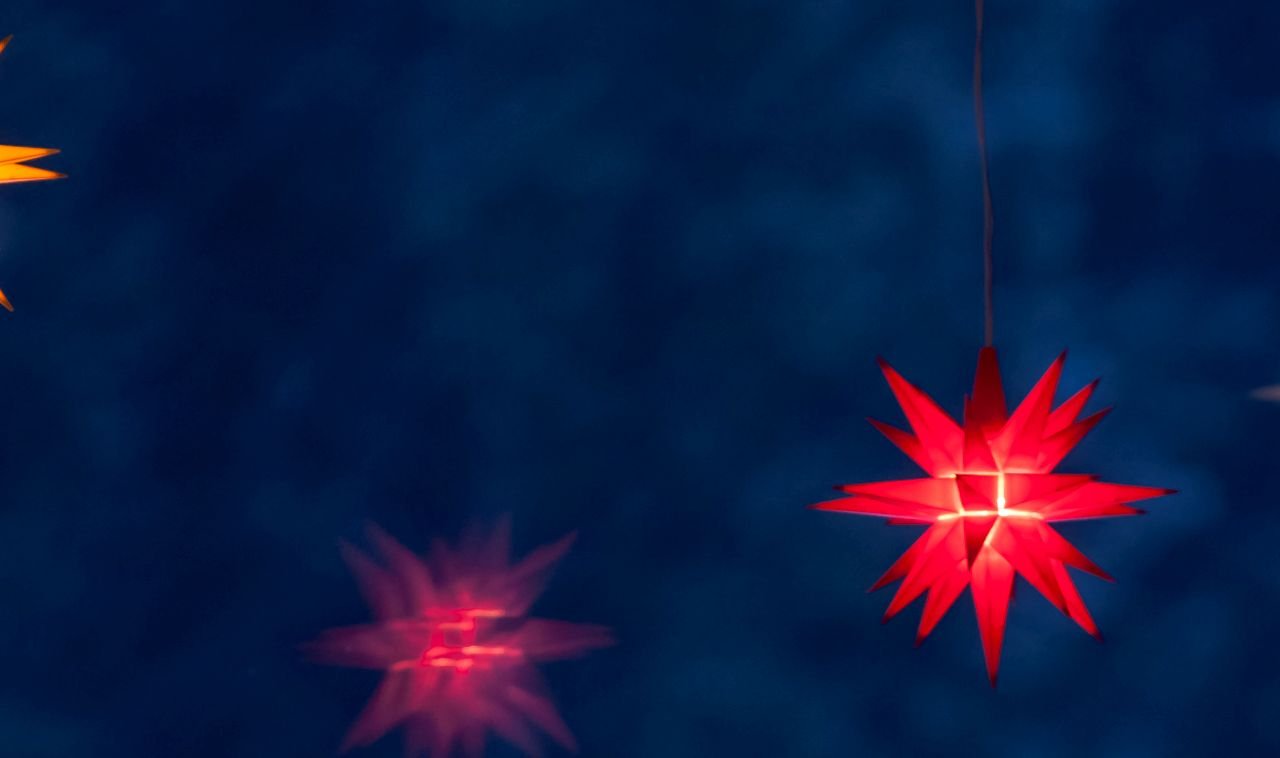 weihnachtssterne-min_935x561px