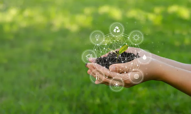 Zwei Hände halten ein wenig Erde, aus dem eine Pflanze wächst