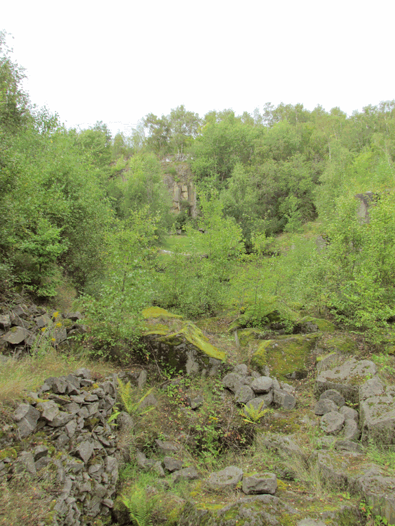 Vulkanpark Grubenfeld, Mühlsteine
