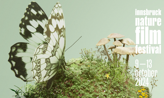 Plakat für INFF 2024, Schmetterling auf Moos mit Pilzen