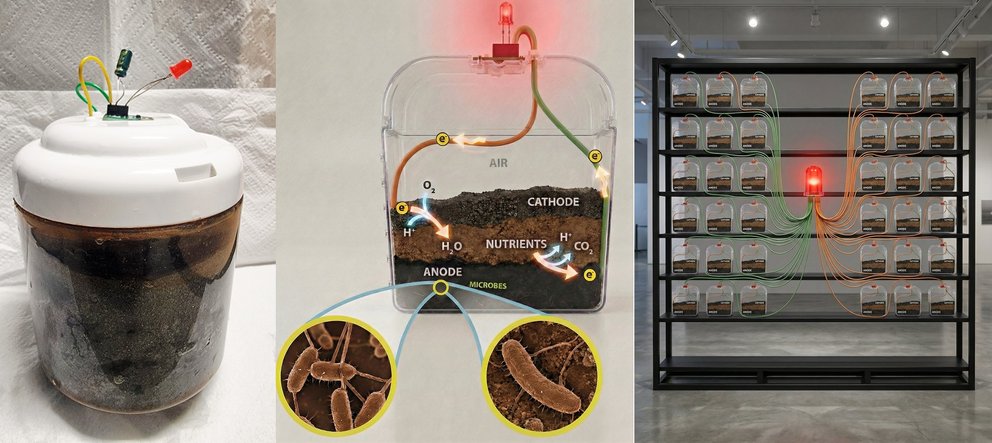 Mikrobielle Brennstoffzelle