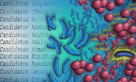 Illustration mit bunten Mikroben und wissenschaftlichen Namen im Hintergrund