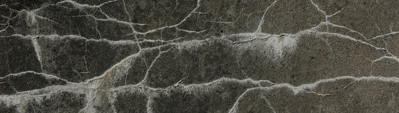 Titelbild Forschen in politisch wie forschungsethisch brisanten Feldern