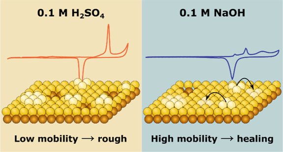 Dynamics_Adatom_Vacancy_Islands