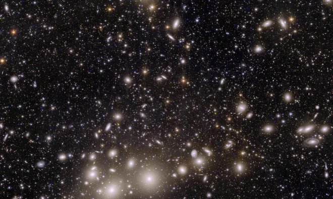 euclid_s_view_of_the_perseus_cluster_of_galaxies