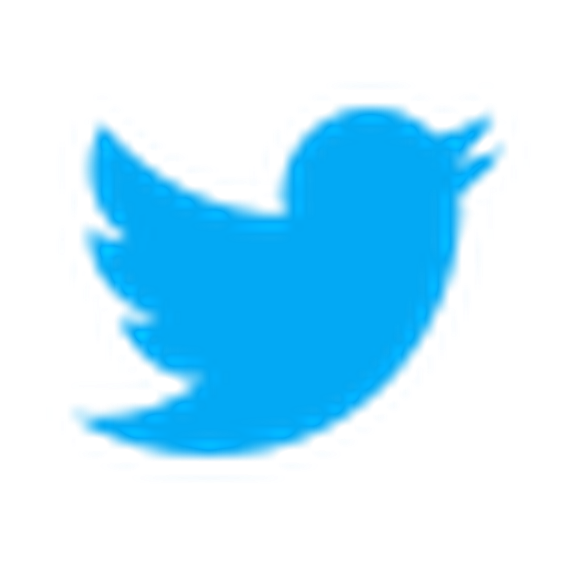 icons8-twitter-48