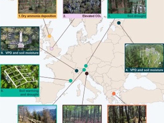 Key manipulation facilities as part of the FutureForests project including 1) Scotland, 2) England, 3) Germany, 4) Estonia, 5) Greece, 6) Italy, 7) Austria, 8) France, 9) Switzerland (VPD = vapour pressure deficit).